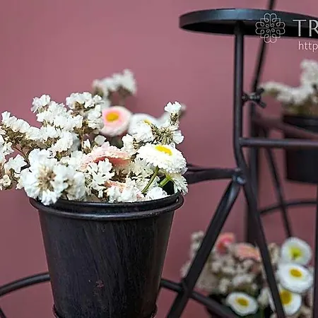 فندق Clerigos Rose