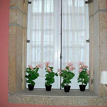 Clerigos Rose